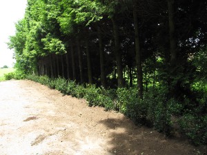 img_5526.jpg